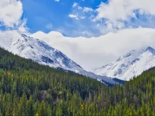 Rocky Mountains, Colorado, USA with trees in the foreground and snow-covered mountains in the distance on a sunny day.
