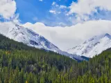 Rocky Mountains, Colorado, USA with trees in the foreground and snow-covered mountains in the distance on a sunny day.