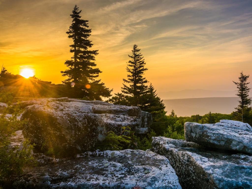 Monongahela National Forest, West Virginia, USA with sunrise at Bear Rocks Preserve, in Dolly Sods Wilderness.