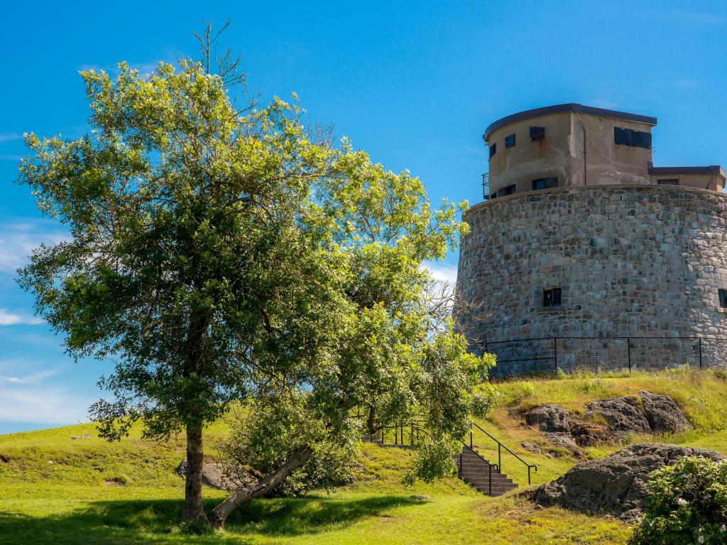 Saint John, New Brunswick, Canada taken at Carleton Martello Tower with a tree to the left, blue sky above.