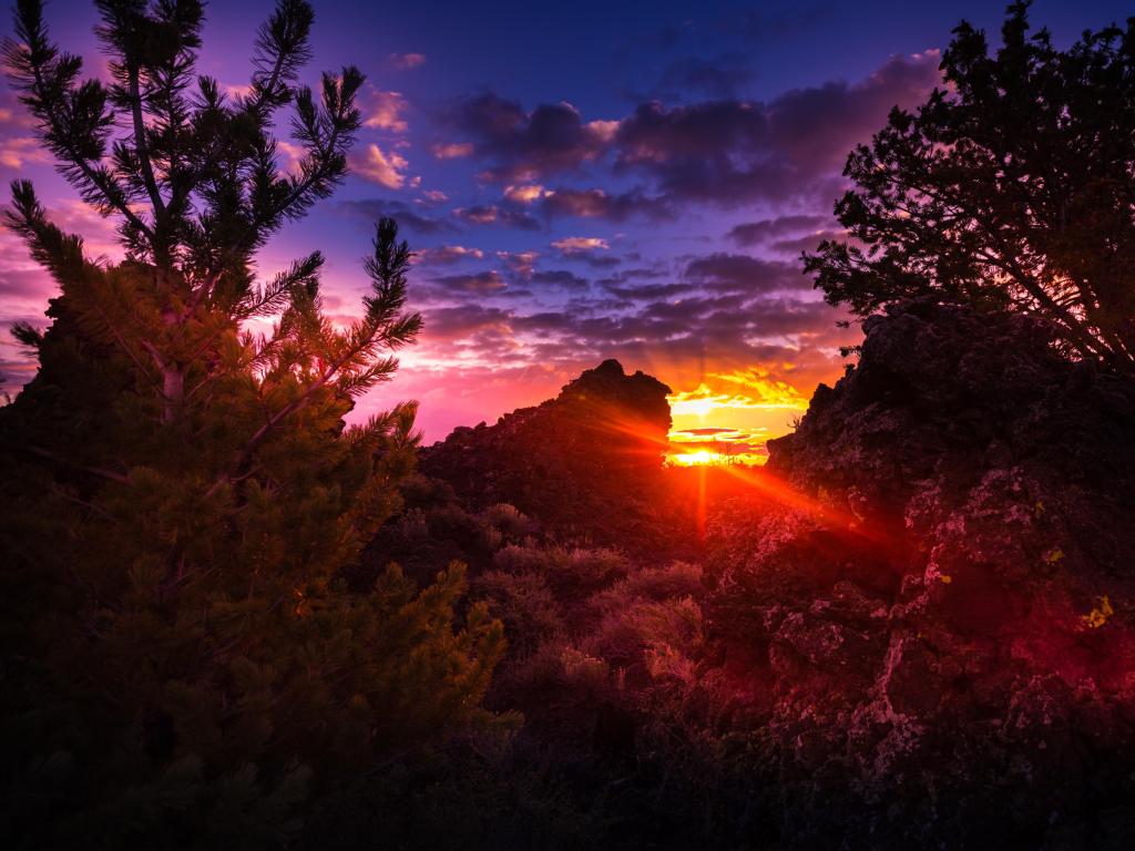 vivid magenta light shines between silhouetted trees and hillsides at sunrise