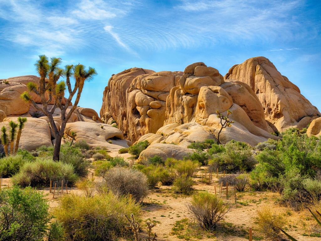 Rugged rock formations in the distance, with trees and shrubs in the forefront.