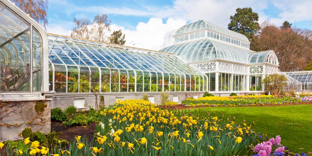 The conservatory in Seattle's Volunteer Park blooms with yellow and pink flowers