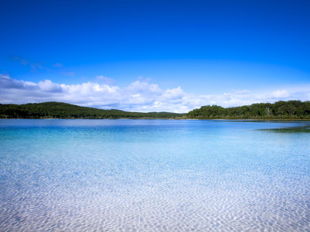 Lake Mackenzie on Fraser Island off the Sunshine of Queensland is a beautiful freshwater lake popular with tourists who visit Fraser Island. Queensland, Australia.