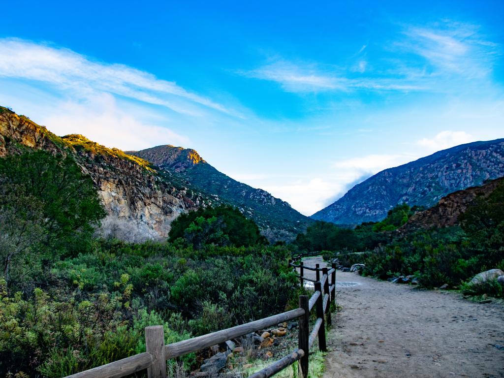 A vivid kid-friendly trail with lively green bushes around the dirt road and a view of the mountains on an early morning light with a thin white cloud in a blue sky