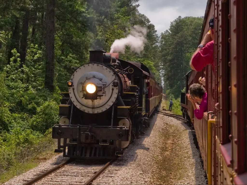 A classic steam engine passing a train on the Texas State Railroad between Palestine and Rusk.