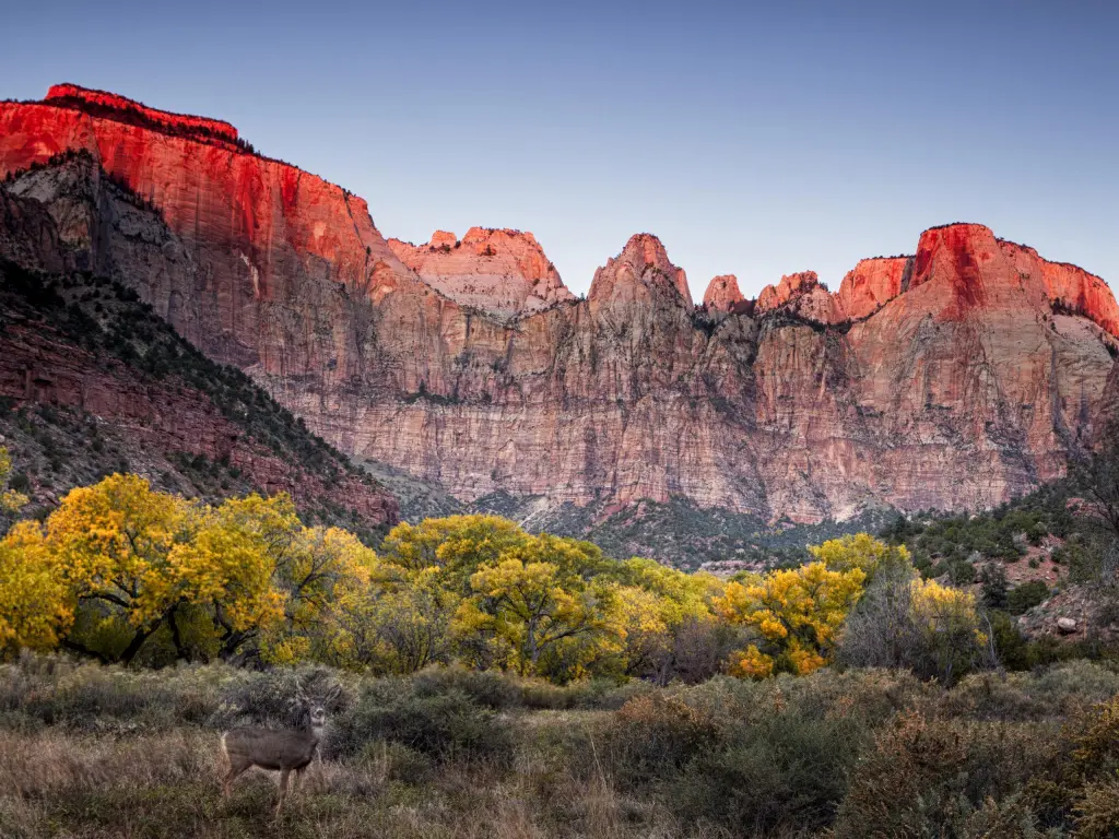 Autumn at the Towers of the Virgin, Zion National Park, Utah