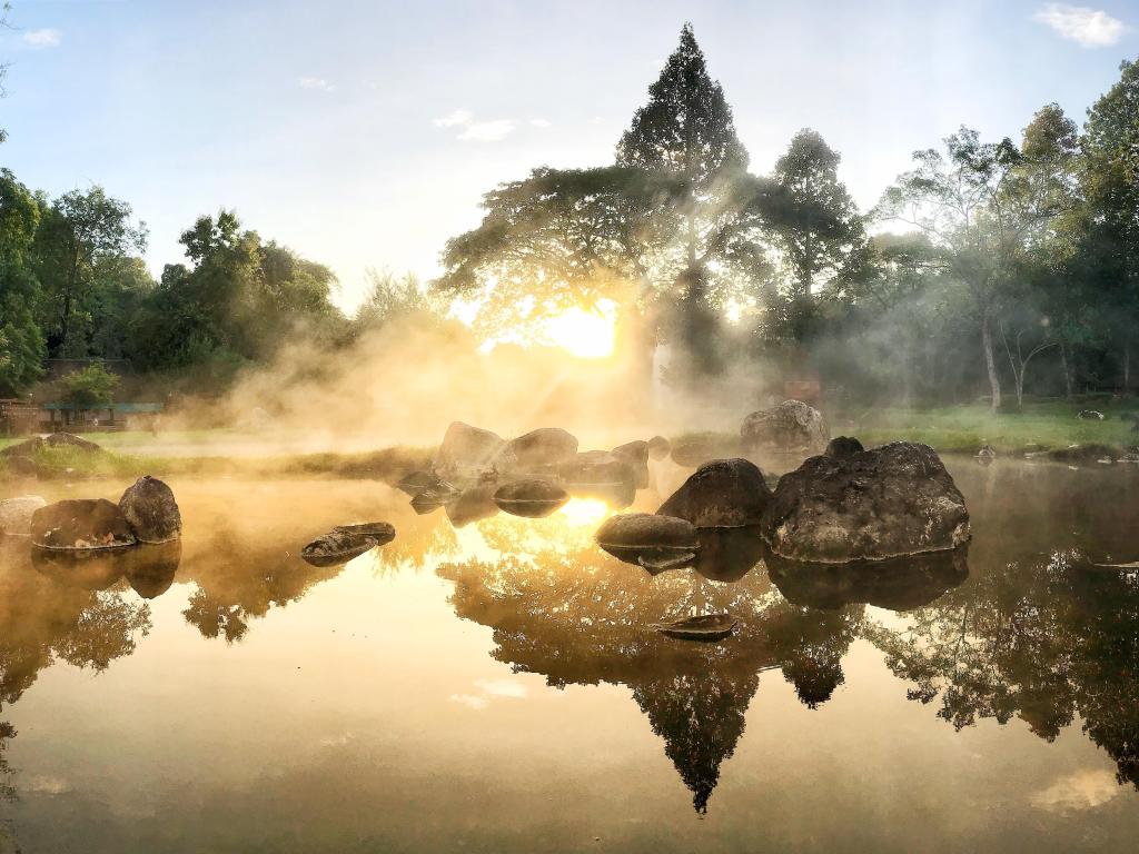 Steam flowing through the trees from a natural hot spring in Arkansas