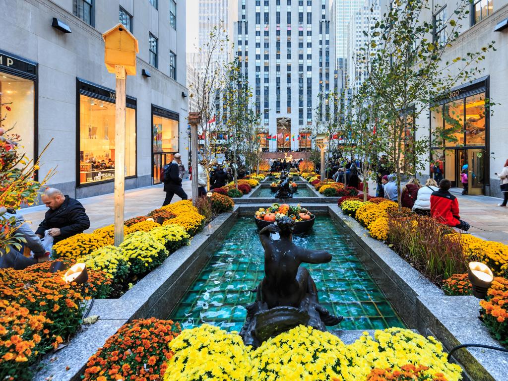 Bright yellow and orange flowers at Channel Gardens at Rockefeller Center 