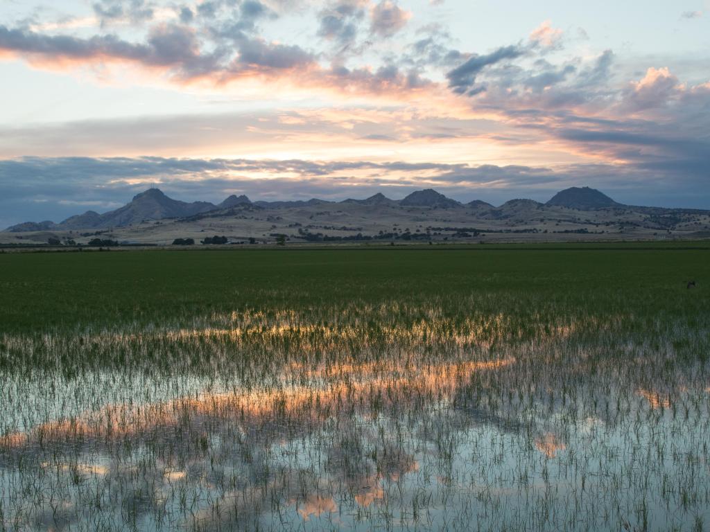 Yuba City, California, with mountains in the background during a sunset.