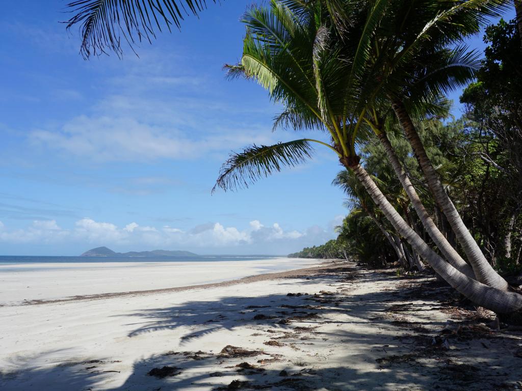 Palm trees on the white sands of Chili Beach, Northern Australia near Cape York