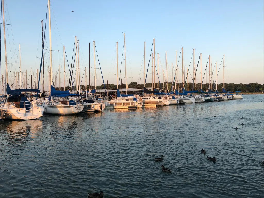 A row of sailboats in the marina at Grapevine Lake, near Dallas