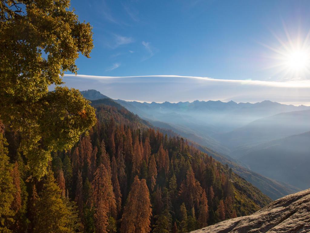Sequoia National Park, California at autumn with a sunrise over the mountains in the distance and redwood trees at the foreground looking from height to the valley below. 