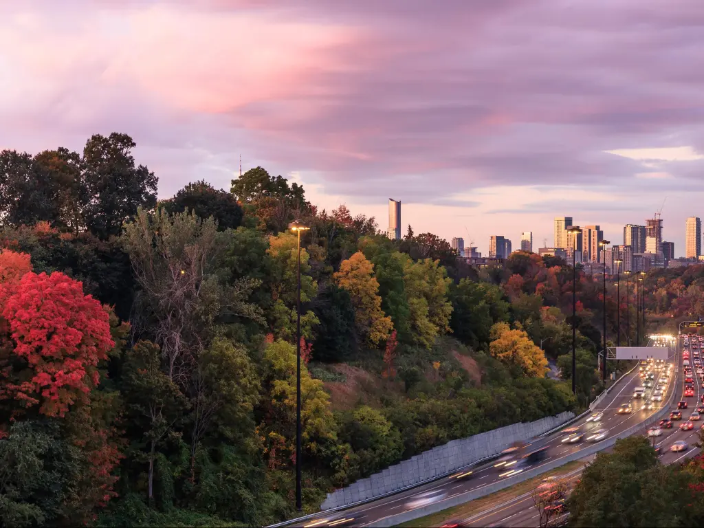 Cars approaching downtown Toronto via the Don Valley Parkway in the peak color of autumn at sunrise, Ontario, Canada
