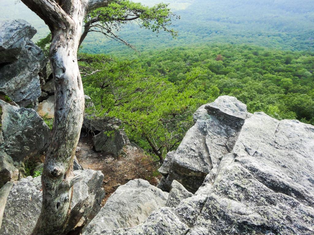 Talladega National Forest, USA taken at the Cheaha State Park and view at Bald Rock with trees and valleys in the distance. 