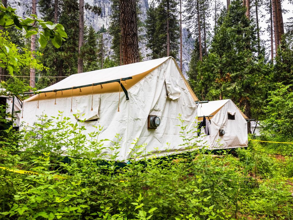 Exterior view of canvas tent cabins in Camp Curry located in a lush forest in Yosemite Valley, Yosemite National Park, California