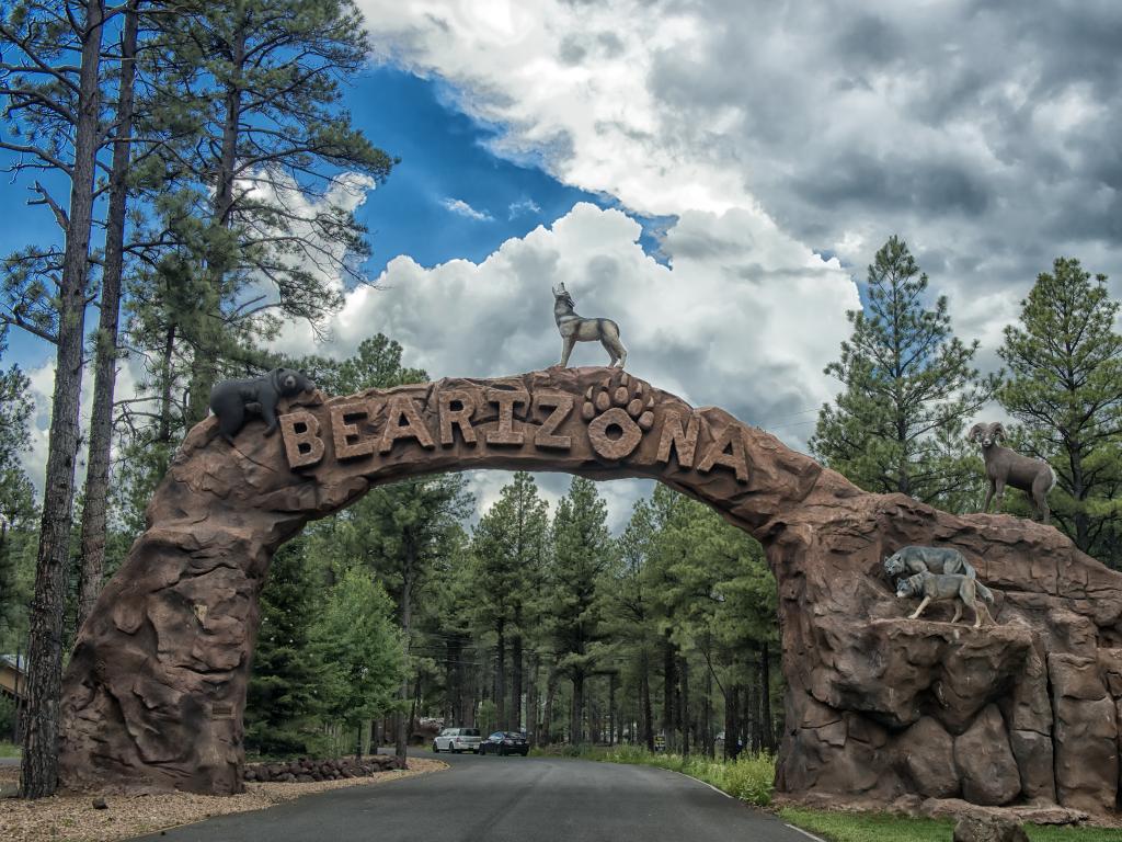 An arch with Bearizona, statues of wolves, and bear in it and two cars driving along a curvy road with a sight of tall pine trees