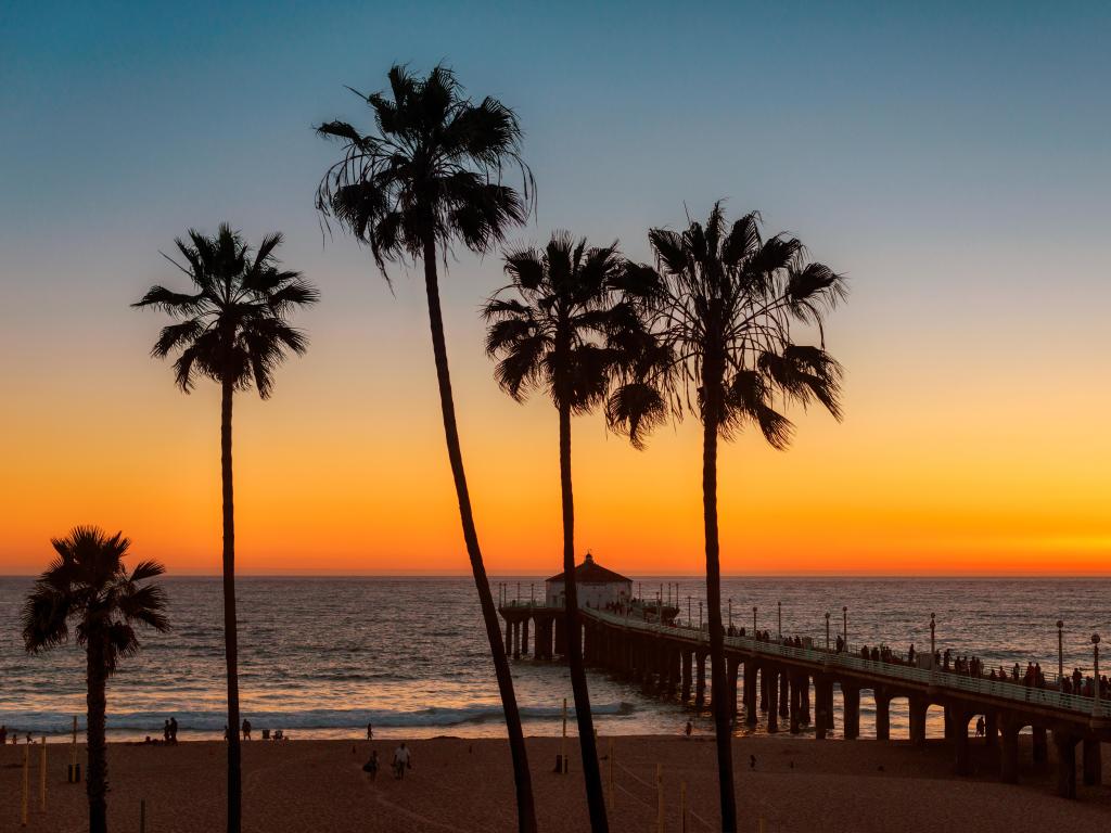 Palm trees silhouetted against the sunset on a beach in Malibu, California 
