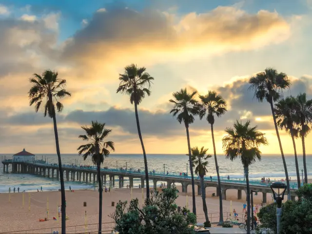 Beach in Malibu seen through the palm trees, with sea in the background and golden clouds at sunset