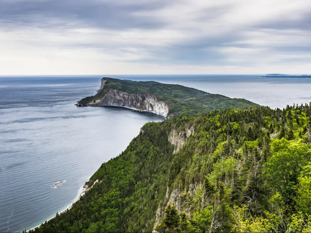 Cape Gaspé, Mont St Alban, Quebec, Canada with a view from the tree covered cliffs in Forillon National Park looking to the peninsula and sea surrounding.