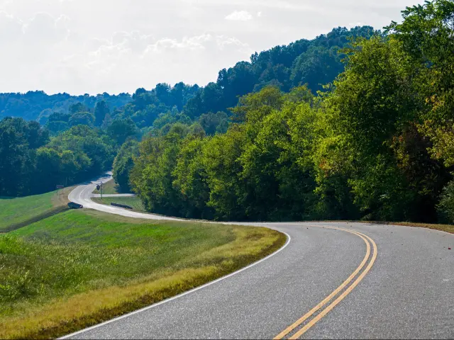 View of lush forest from the Baker Bluff Overlook on the famous Natchez Trace Parkway in Mississippi, with the road sloping downhill