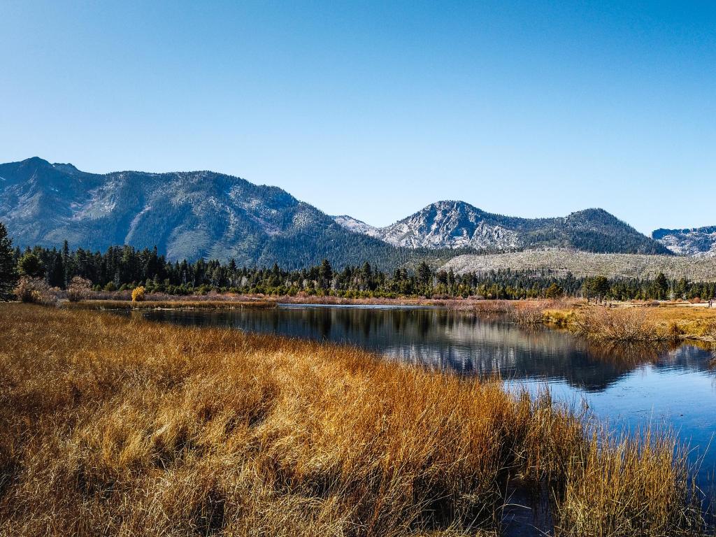 Panoramic View At Eldorado National Forest, California - USA