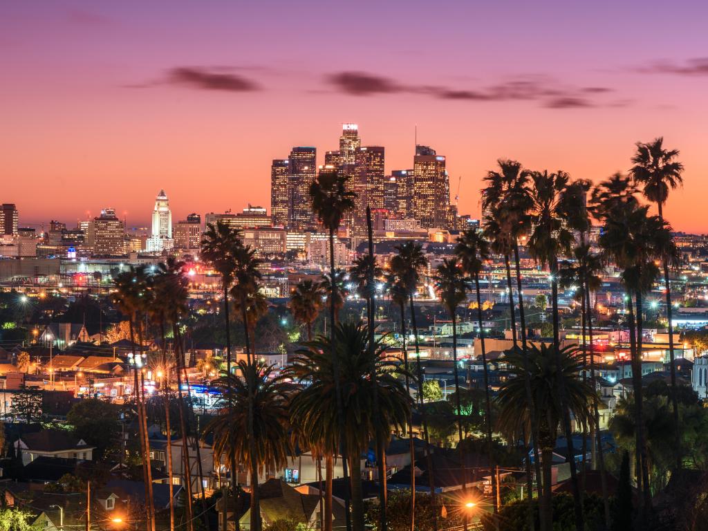 Beautiful sunset of Los Angeles downtown skyline and palm trees in foreground