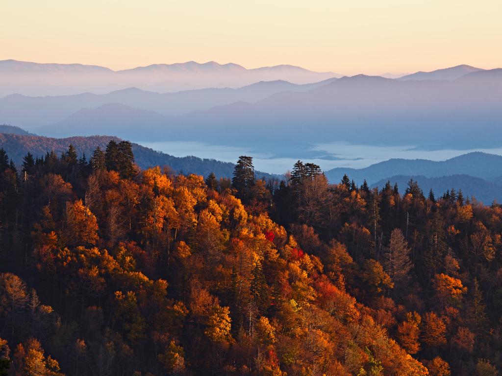 Early morning light lighting up red and gold trees on hillsides, with misty mountains in silhouette behind