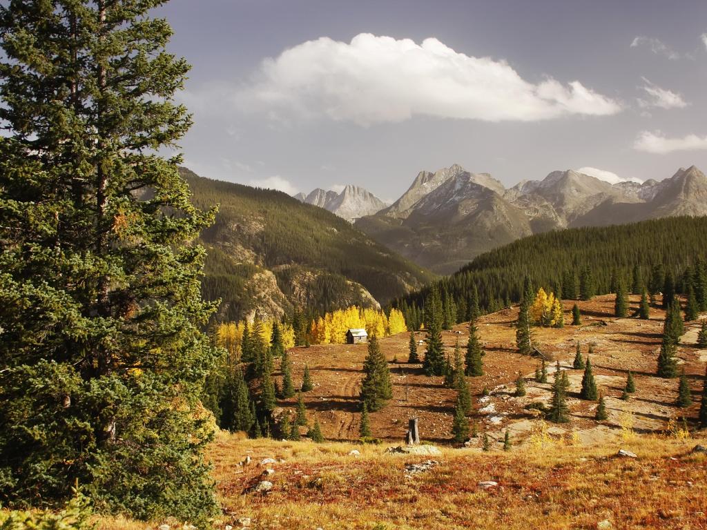 Rio Grande National Forest, Colorado, USA taken at Molass pass with trees and mountains in the distance.