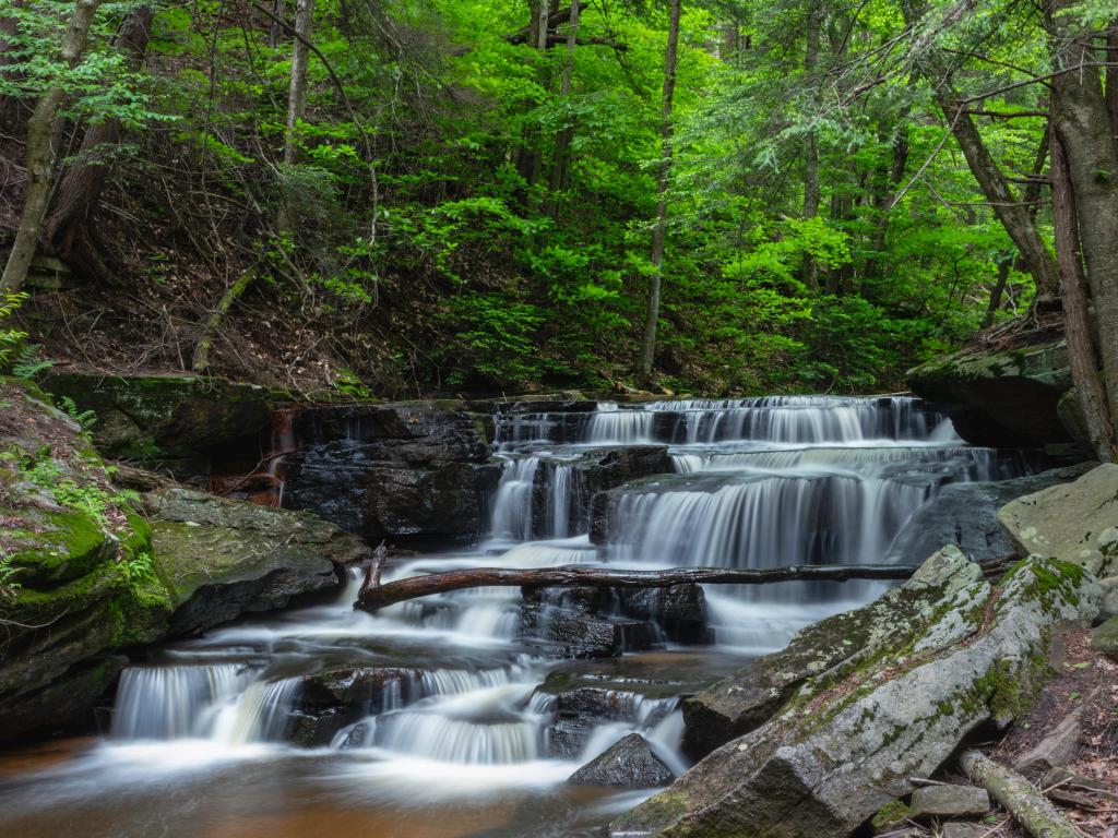 Pigeon Falls in The Allegheny National Forest near Marienville Pennsylvania