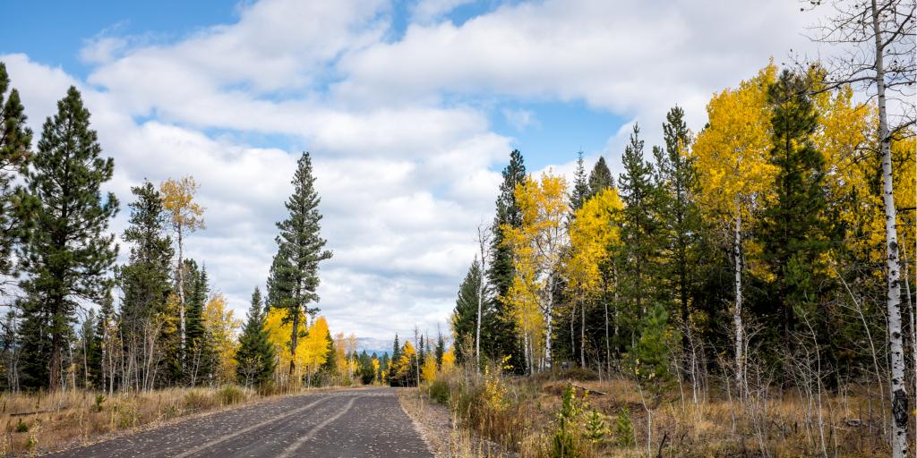 Driving through autumn colours to McCall, Idaho