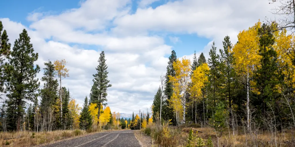 Driving through autumn colours to McCall, Idaho