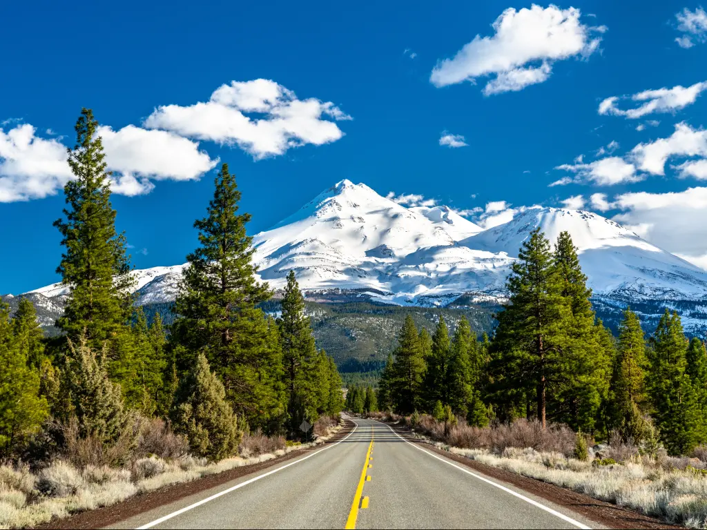 Highway towards Mount Shasta in the Shasta-Trinity National Forest in northern California.