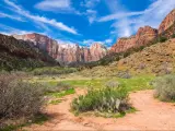 Colors and adventure at Zion National Park, Zion Canyon Theater, Utah, USA
