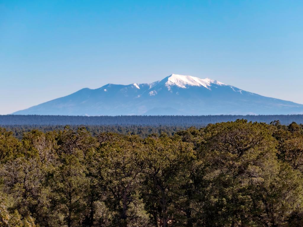 Kaibab National Forest, USA with Mt Humphreys in the distance and Kaibab National Forest on the rim of the Grand Canyon in the foreground taken on a sunny day.