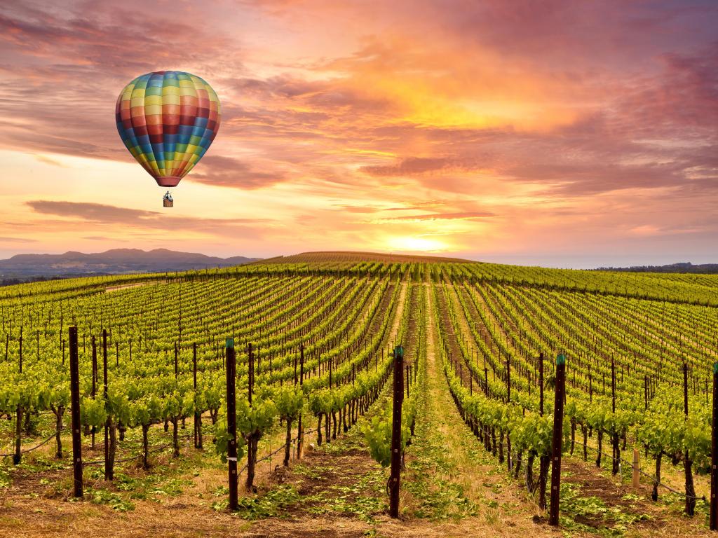 Sunrise in the valley with a hot air balloon in the air above the vineyard