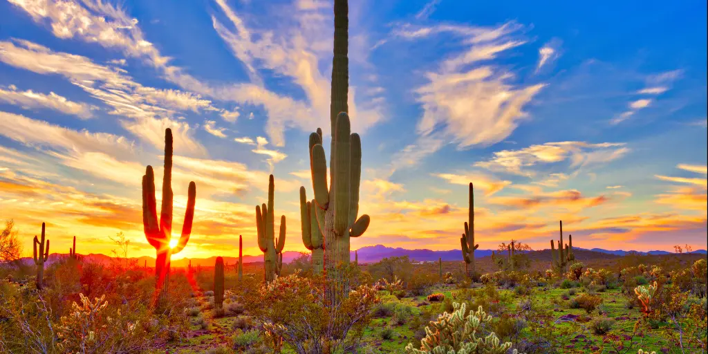San Antonio to Marfa Road Trip