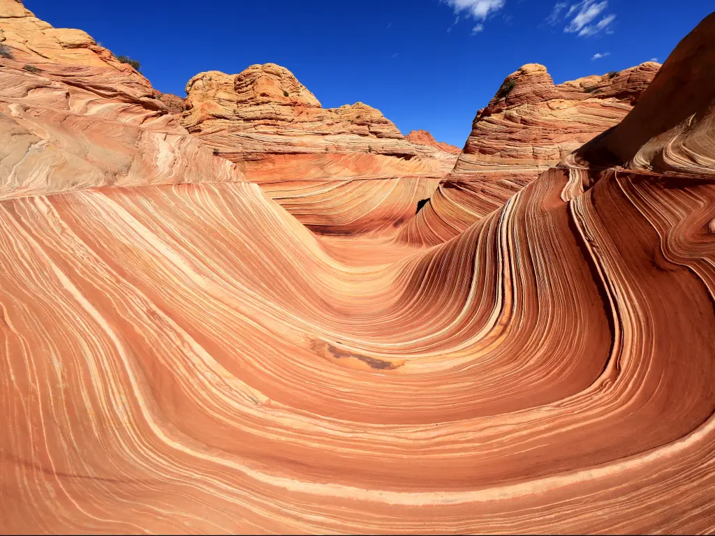 The Wave, Arizona, Canyon Rock Formation. Vermillion Cliffs, Paria Canyon State Park on a sunny day with blue skies.