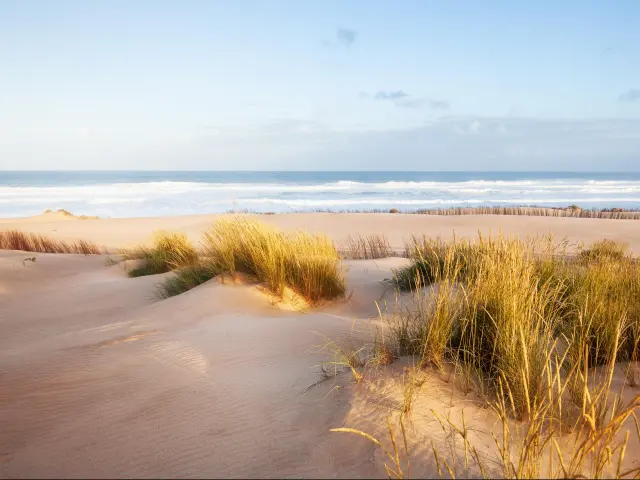 Pensacola, Florida, USA with sand dunes and the ocean in the distance taken on a sunny morning.