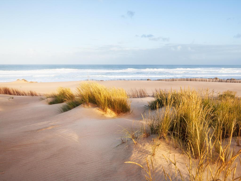 Pensacola, Florida, USA with sand dunes and the ocean in the distance taken on a sunny morning.