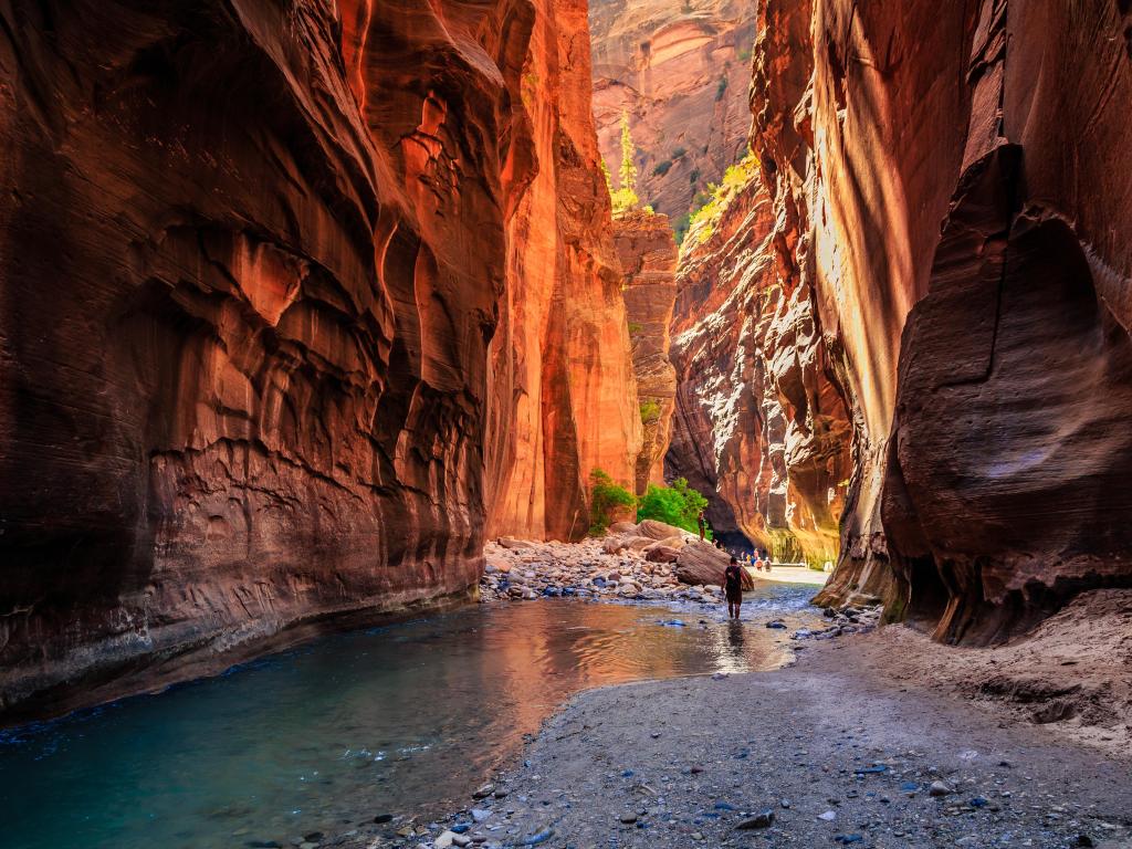 The majestic narrows in Zion National Park