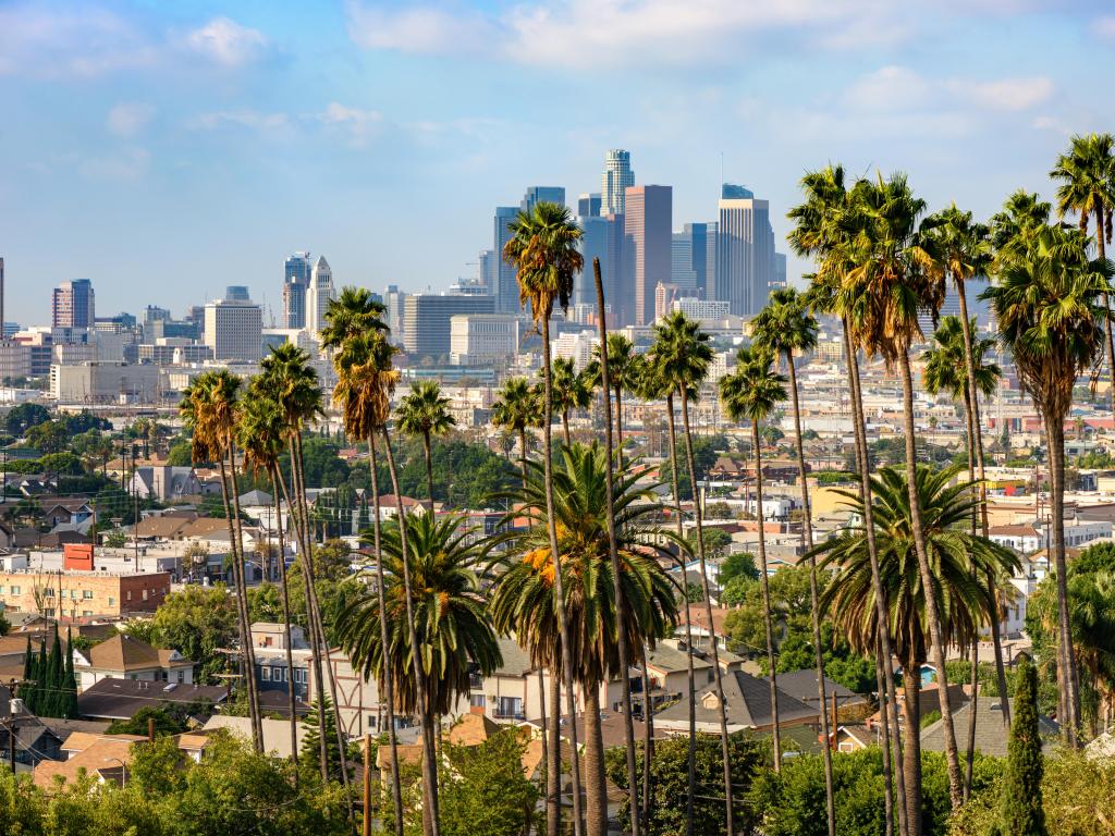 Los Angeles, California, USA taken at downtown Los Angeles with palm trees in the foreground.