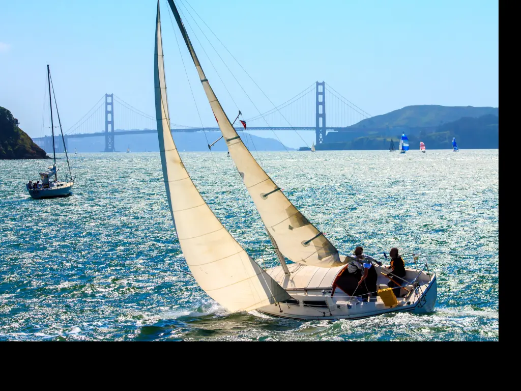 Sailing boats in San Francisco Bay between Angel Island and Tiburon