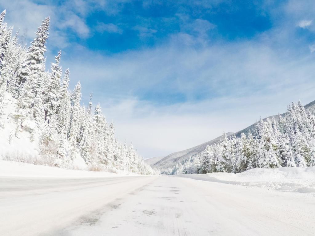 Snow covered highway lined with trees