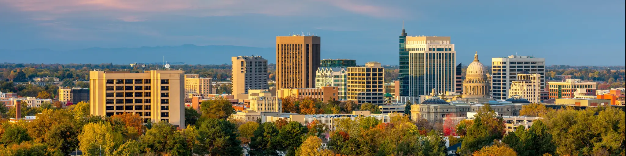 Boise, Idaho, USA with the city skyline taken during fall, trees in the foreground and a sky with pinks and blues.