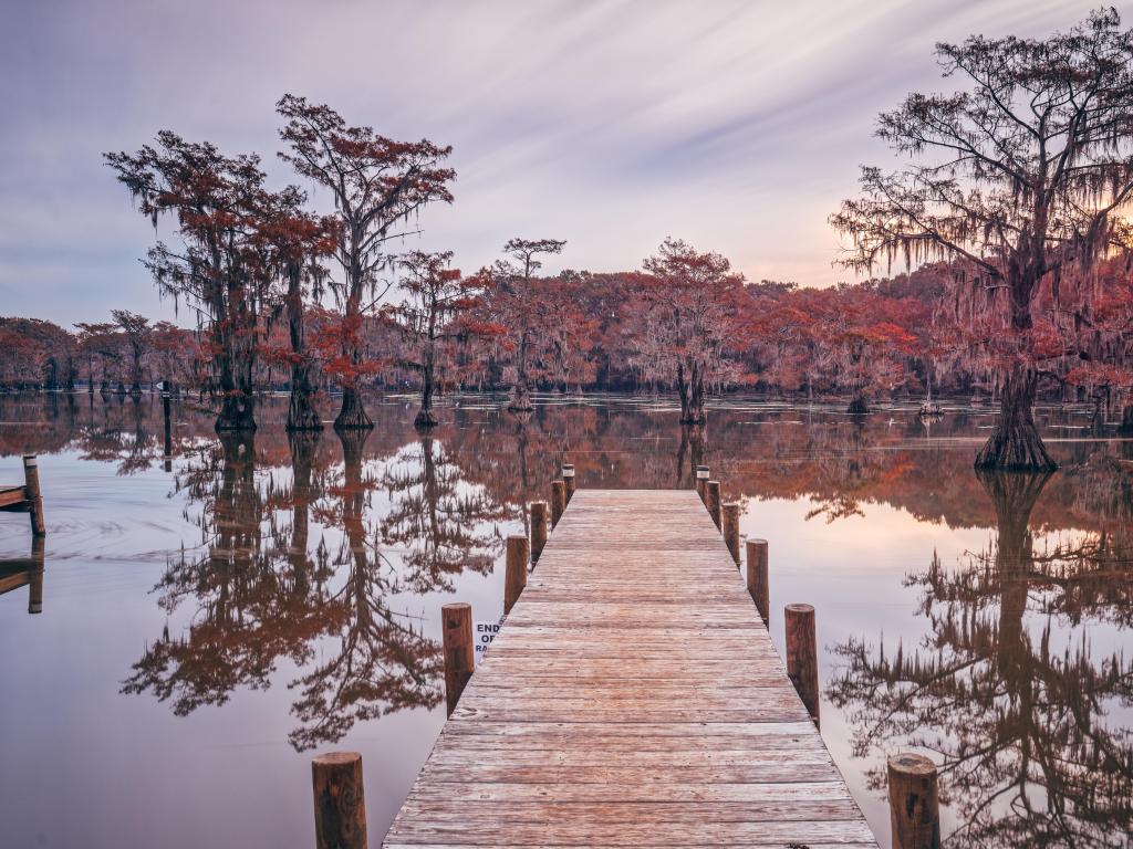 Caddo Lake State Park, Texas, USA with a view of Caddo Lake and Bald Cypresses from a wooden pier.