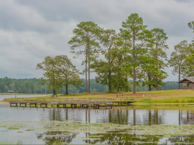 View of Geiger Lake in the wilderness of Pine Belt Region of Hattiesburg, Mississippi
