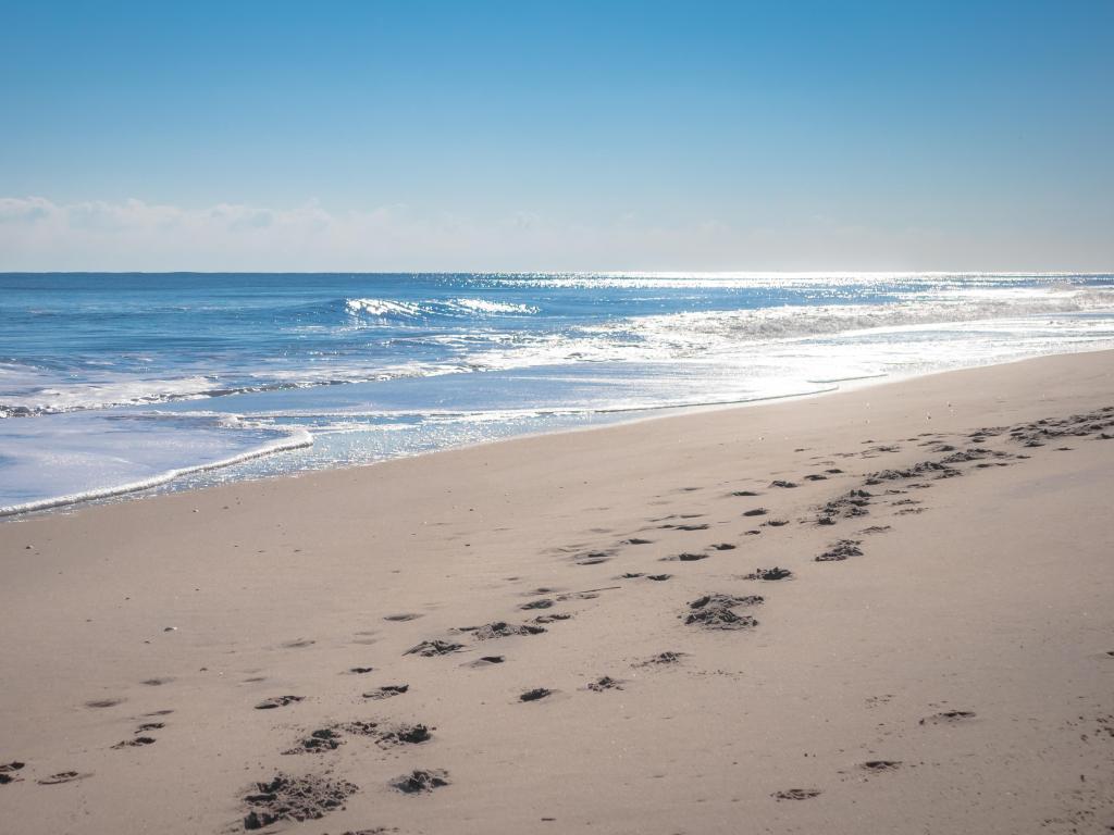 Clean sand beach meets clam tropical ocean with small waves and some foot trail on sand on sunny day in Summer in Ocean City, Maryland.