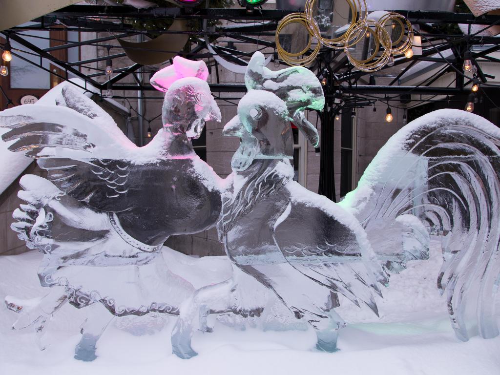 Horizontal view of illuminated ice sculpture representing a couple of chicken seen during the Winter Carnival.