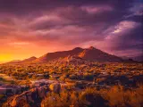 A panoramic view of the beautiful golden hour illuminating the desert of Scottsdale Arizona